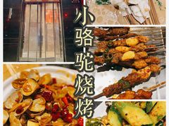 -福苗小骆驼烧烤(大唐不夜城店)