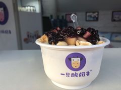 -一只酸奶牛(八一路店)