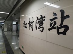 -红树湾(地铁站)