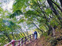 -黑龙潭风景区