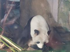 -成都动物园