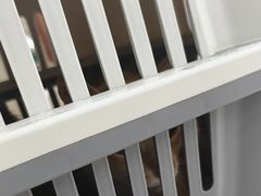-瑞鹏·疫苗·绝育·宠物医院(广九店)