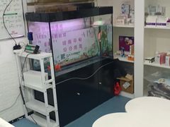 -特一安24小时宠物医院·骨科·中兽医