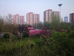 -庆丰包子铺(大红罗厂店)