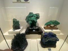 -安徽省地质博物馆