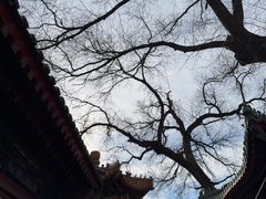 -贤良祠