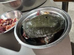 -大榕树柴火鸡•别院小厨(新都店)