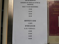 -三里屯东五街银杏大道