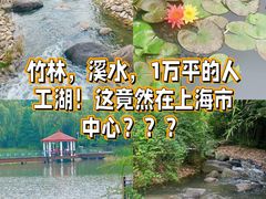 -新虹桥中心花园