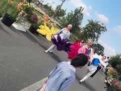 -荷兰花海