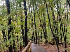 -五女峰国家森林公园