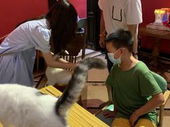 -猫色咖啡·猫咖