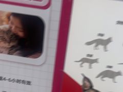 -瑞鹏·疫苗·绝育·宠物医院(金沙洲店)