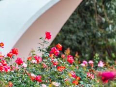 -人民公园(罗湖区)