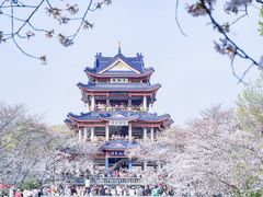 -新万鑫银丝面·非遗无锡味(惠山古镇店)