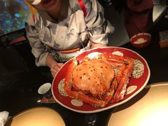 -地球美食剧场
