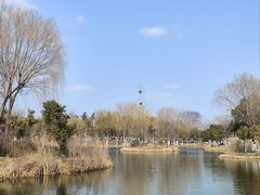 -东台西溪天仙缘景区