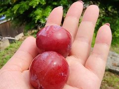 -蝶舞清江·恩施地心谷景区