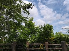 -海口火山口国家地质公园