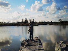 -春花秋色城市公园