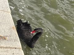 -山东大学(威海校区)