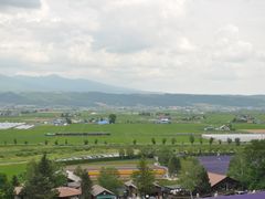 -富田农场