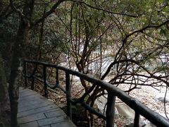 -石台牯牛降景区