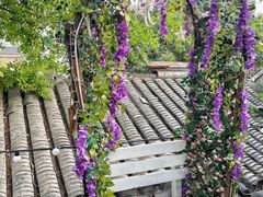 -丽江庭院·云南野生菌·海鲜火锅(鼓楼四合院店)