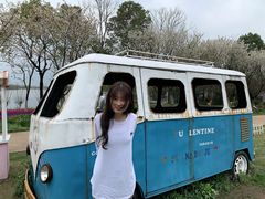 -杭州湾海上花田景区