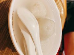 -海丝金凤(金鱼店)