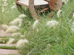 景点-西昌邛海湿地