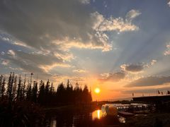 -呈贡滇池生态湿地公园