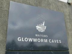 -怀托摩萤火虫洞