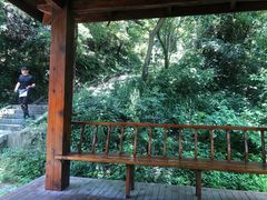 -青龙山国家森林公园