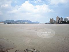 -江心屿景区