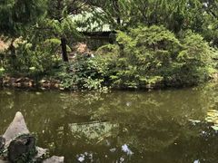 -叶家花园