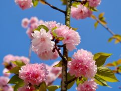 -星巴克(成都科学城店)