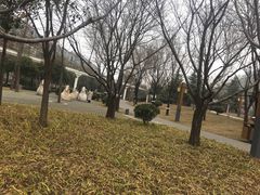 -唐城墙遗址公园