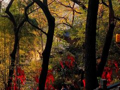 -苏州图书馆(人民路总馆)