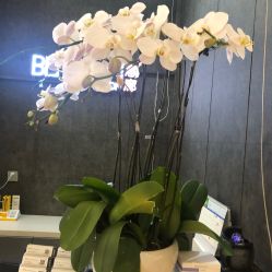 -意廊 Hair Salon