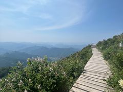 -白草畔自然风景区