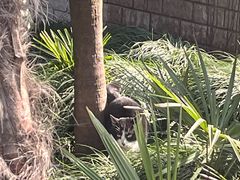 -章氏(凉城路店)