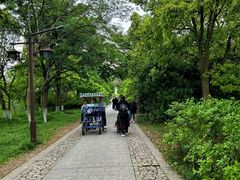 -苏州太湖国家湿地公园