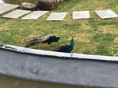 -无锡动物园·太湖欢乐园