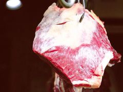 -潮味四季潮汕牛肉火锅(来凤街店)