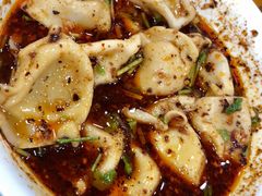 -回坊马二饺子馆
