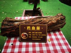 -呀路古热带植物园