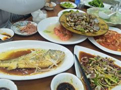 -望海潮海鲜店 特色家常菜(在海一方店)