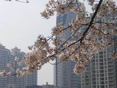 -西北湖绿化广场
