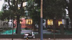 -大象造型